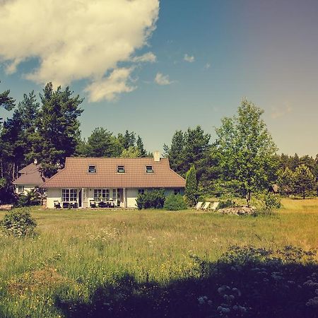 Adami Country Guesthouse Vainupea المظهر الخارجي الصورة