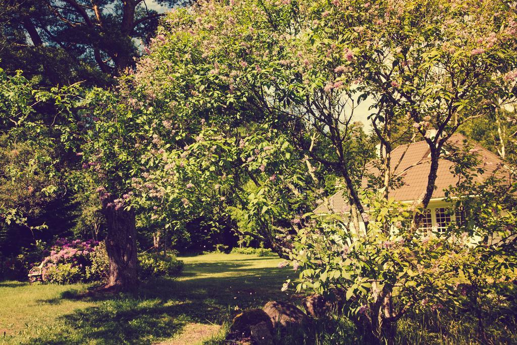 Adami Country Guesthouse Vainupea المظهر الخارجي الصورة