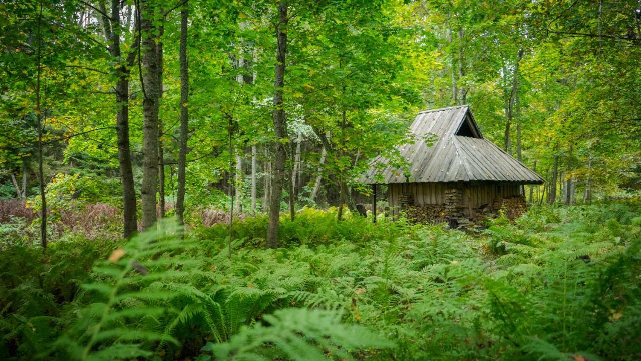 Adami Country Guesthouse Vainupea المظهر الخارجي الصورة
