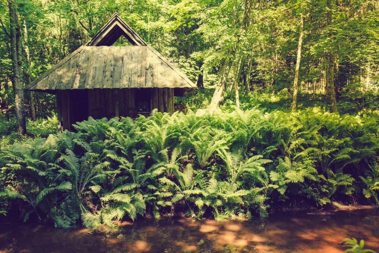 Adami Country Guesthouse Vainupea المظهر الخارجي الصورة