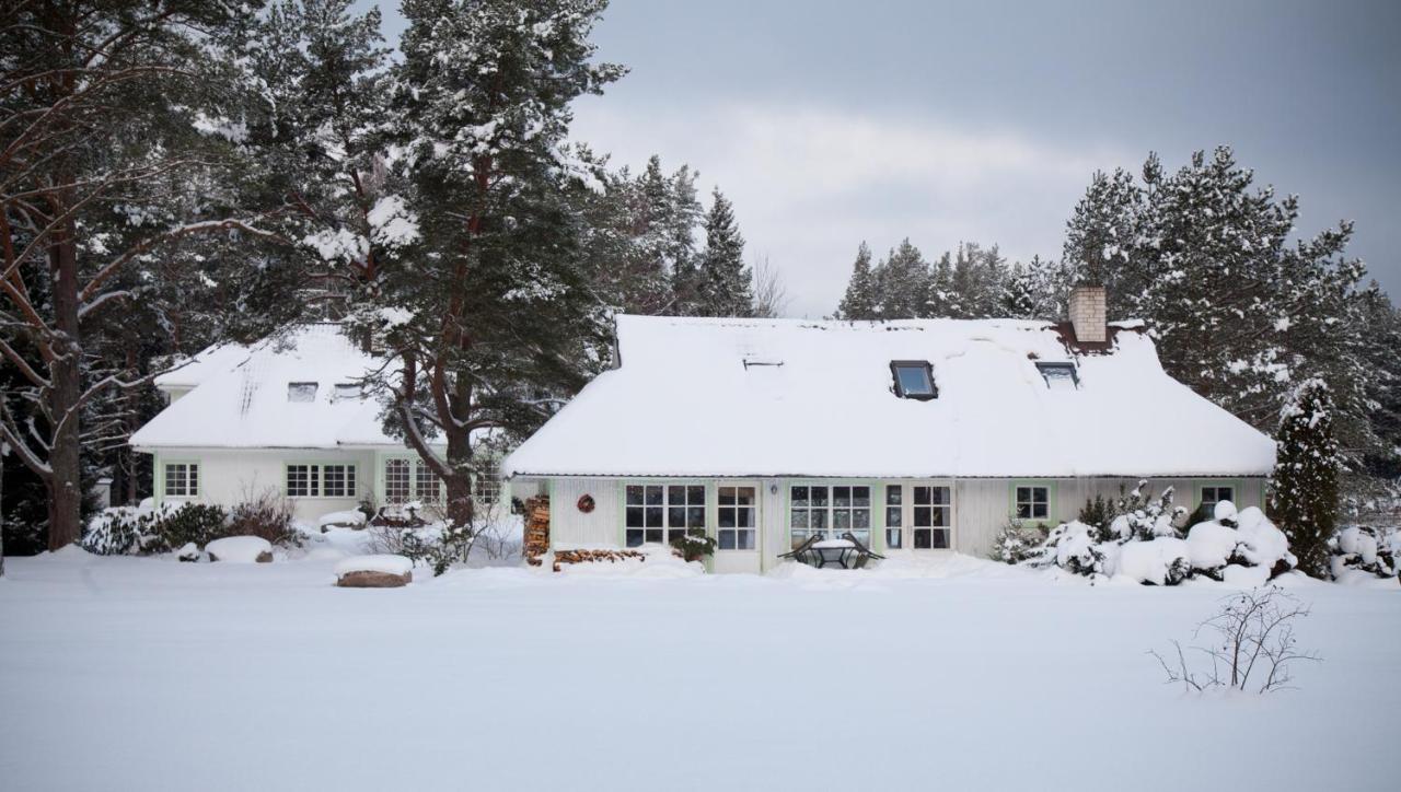 Adami Country Guesthouse Vainupea المظهر الخارجي الصورة