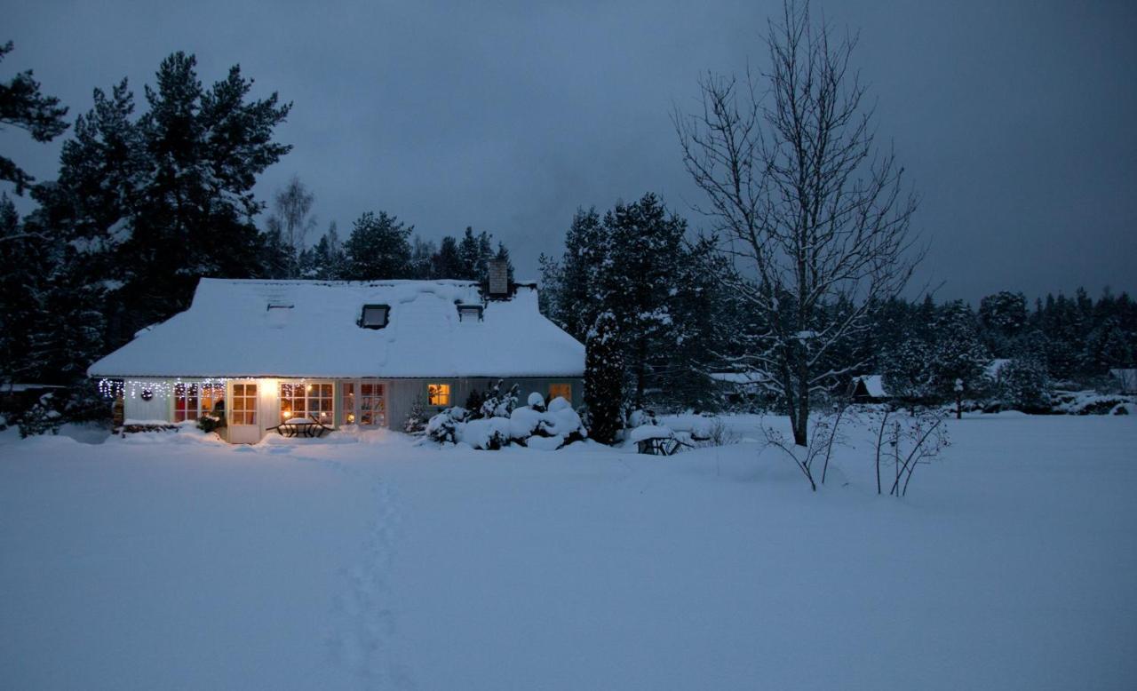 Adami Country Guesthouse Vainupea المظهر الخارجي الصورة