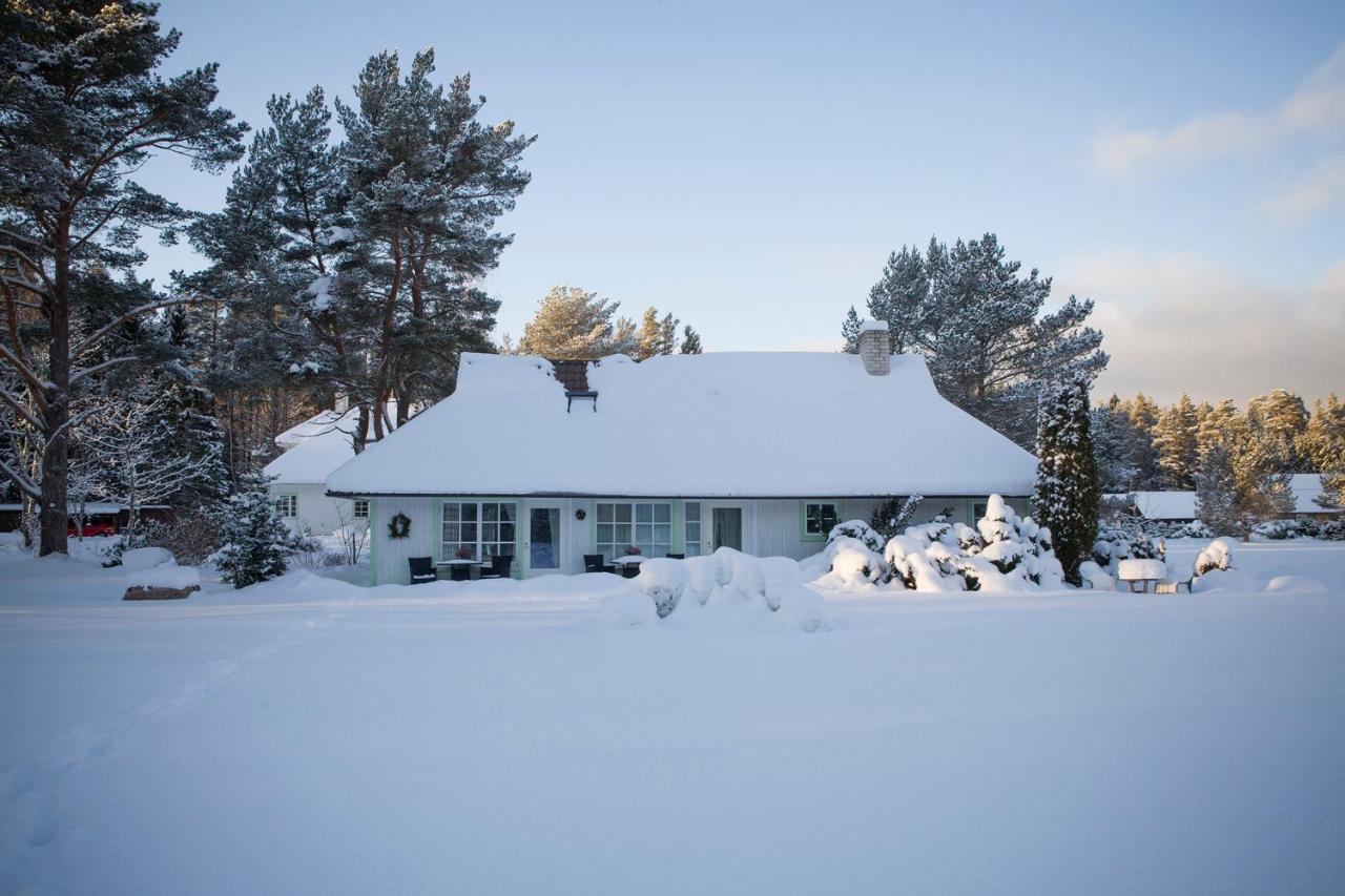 Adami Country Guesthouse Vainupea المظهر الخارجي الصورة